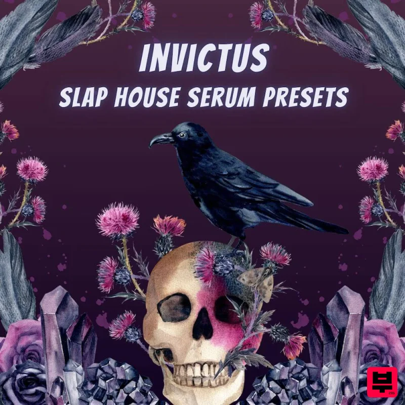 Infinity Audio Invictus - Slap House Serum Presets - Professional Music Instrument Photo