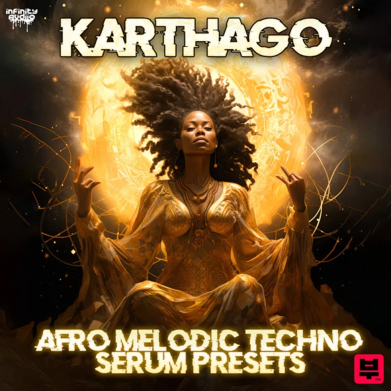 Infinity Audio Karthago - Afro Melodic Techno Serum Presets - Professional Music Instrument Photo