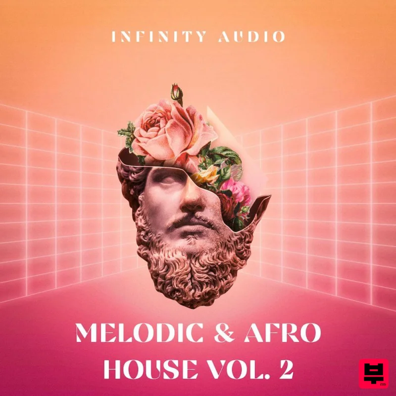 Infinity Audio Melodic & Afro House Vol. 2 - Professional Music Instrument Photo