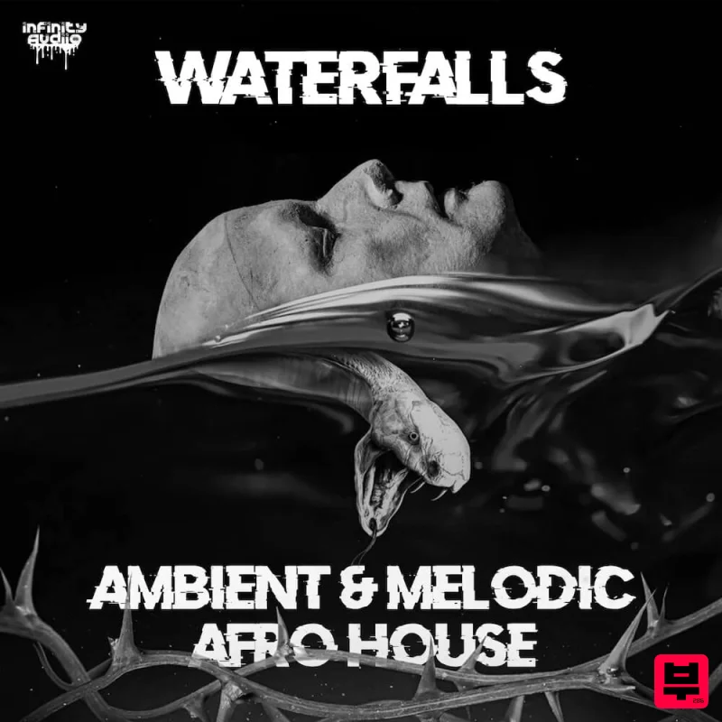 Infinity Audio Waterfalls - Ambient & Melodic Afro House - Professional Music Instrument Photo