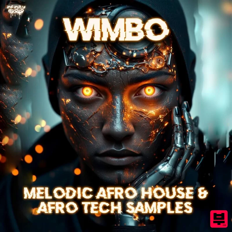 Infinity Audio Wimbo - Melodic Afro House & Afros Tech Samples - Afrobeat