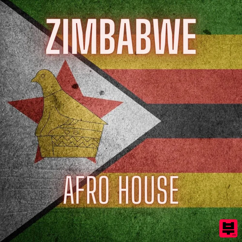 Infinity Audio Zimbabwe - Afro House Sample Pack - Afrobeat