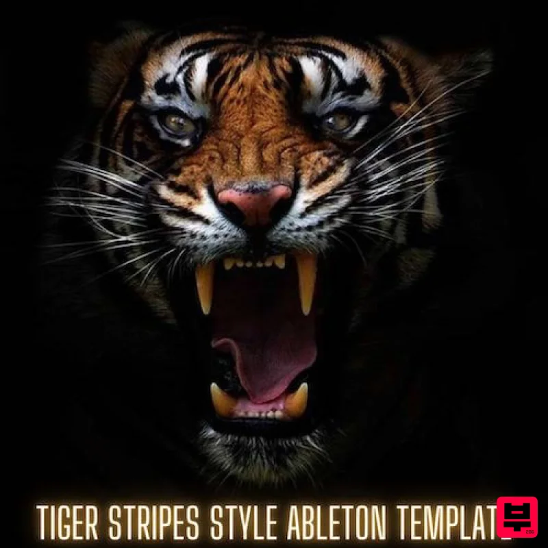 Innovation Sounds Tiger Stripes Style Ableton Live Template - Techno