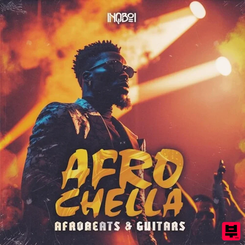 Inqboi Beatz Afrochella – Afrobeats & Guitars - Professional Music Instrument Photo