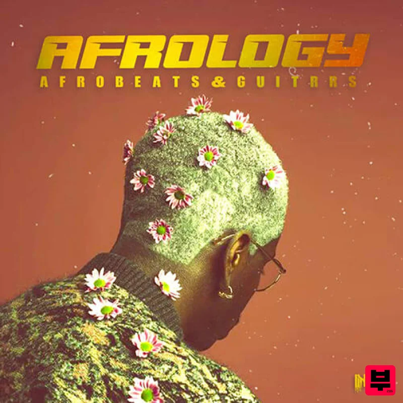 Inqboi Beatz Afrology: Afrobeats & Guitars - World Sounds