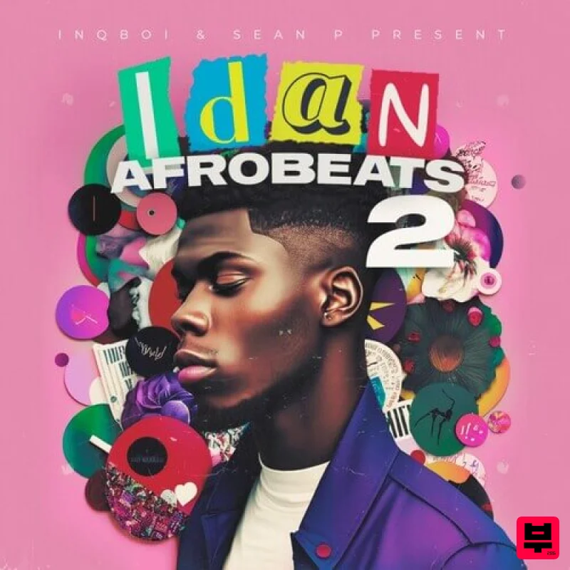 Inqboi Beatz IDAN Afrobeats Vol. 2 - Professional Music Instrument Photo