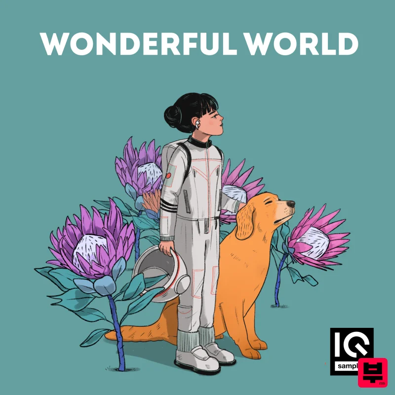 IQ Samples IQ Samples - Wonderful World - Lo-Fi Hip Hop