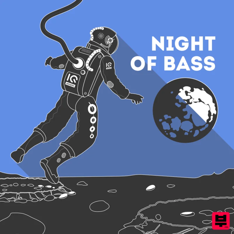 IQ Samples Night Of Bass - Professional Music Instrument Photo