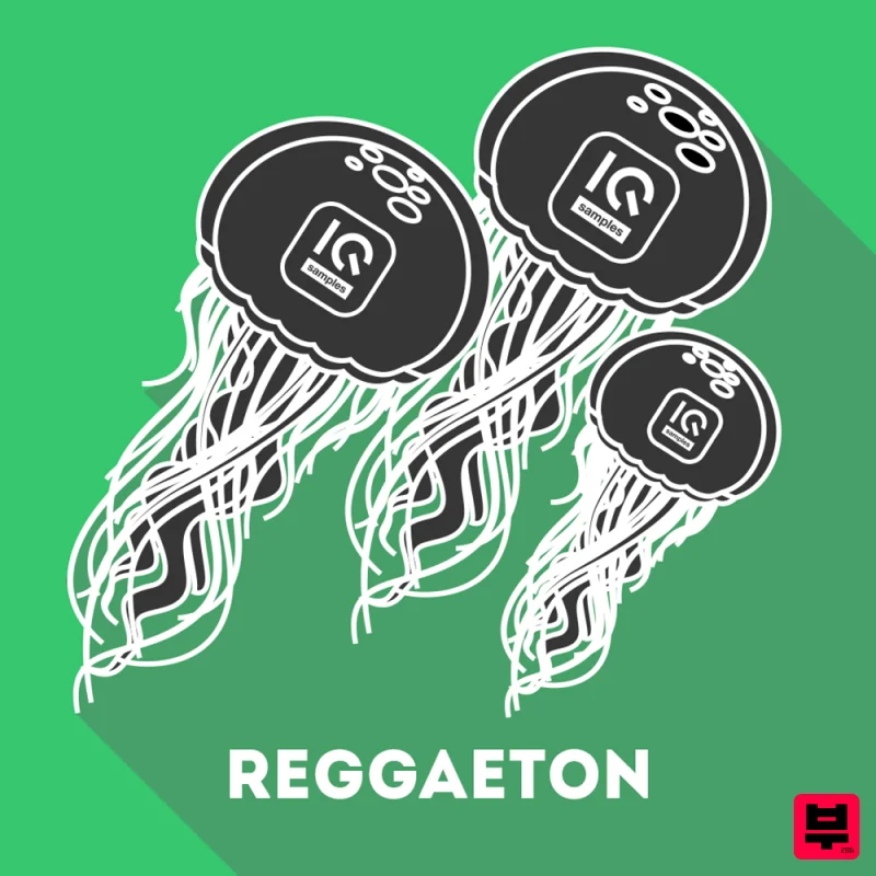 IQ Samples Reggaeton - Reggaeton