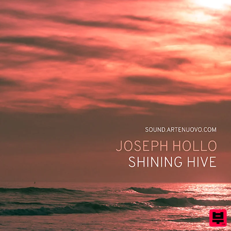 Joseph Hollo Shining Hive - Professional Music Instrument Photo