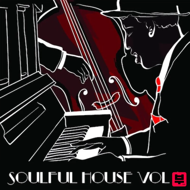 JT Samples Soulful House vol.1 - House