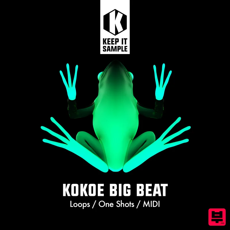 Keep It Sample Kokoe Big Beat - Breaks