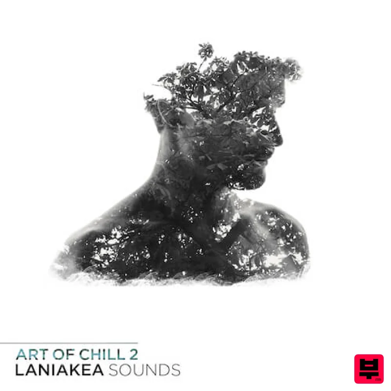 Laniakea Sounds Art of Chill 2 - Chillout