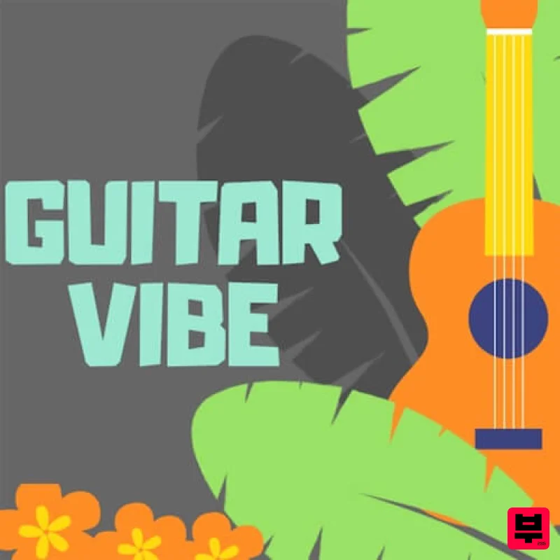 Loop nation GUITAR VIBE - Professional Music Instrument Photo