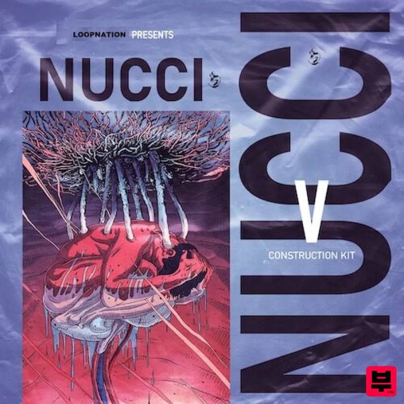Loop nation NUCCI - Hip Hop
