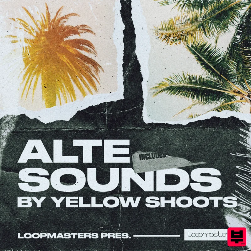 Loopmasters Alte Sounds By Yellow Shoots - Dancehall