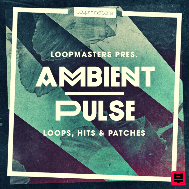 Loopmasters Ambient Pulse - Professional Music Instrument Photo