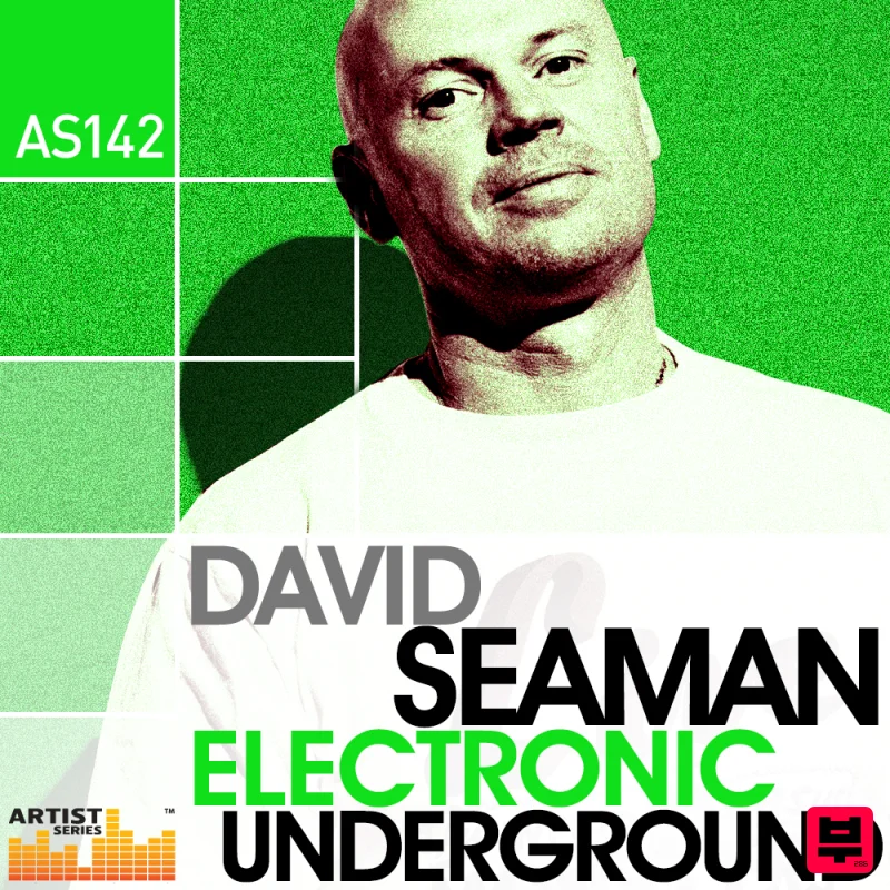 Loopmasters Dave Seaman - Electronic Underground - House