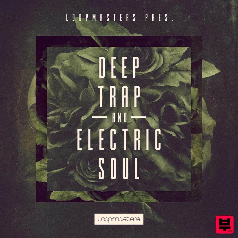 Loopmasters Deep Trap & Electric Soul - Professional Music Instrument Photo