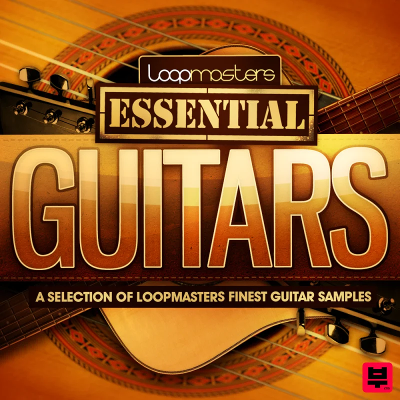 Loopmasters Essentials 20 - Guitars - Professional Music Instrument Photo