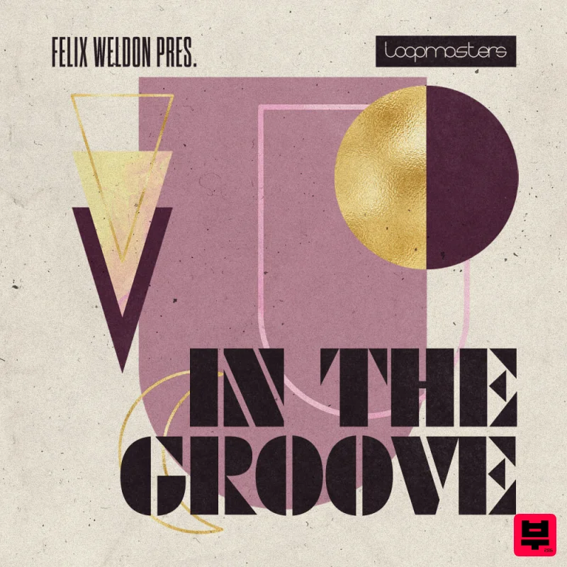 Loopmasters Felix Weldon - In The Groove - Soul