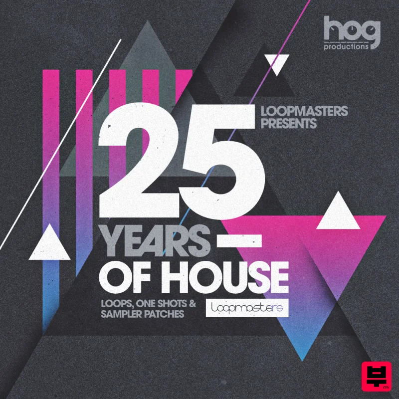 Loopmasters Gianni Bini Presents 25 Years Of House - House