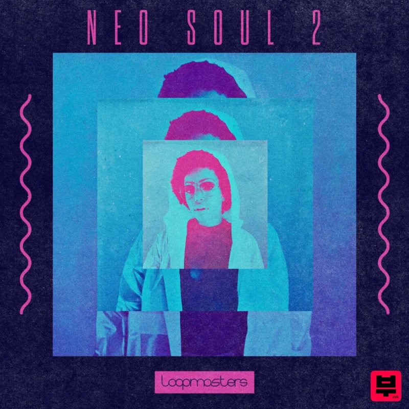 Loopmasters Neo Soul 2 - Professional Music Instrument Photo