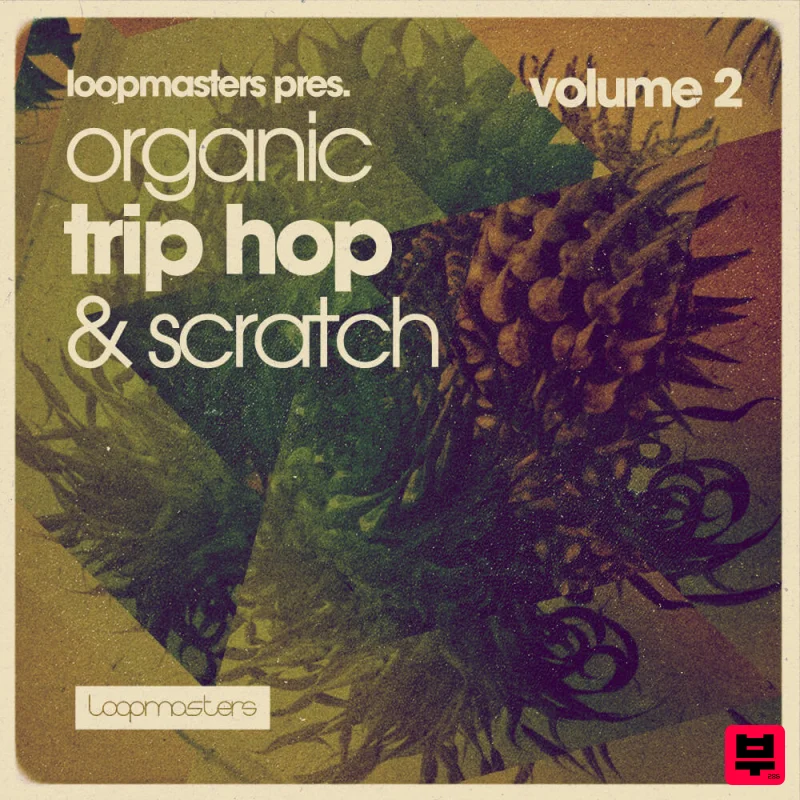 Loopmasters Organic Trip Hop & Scratch Vol 2 - Professional Music Instrument Photo