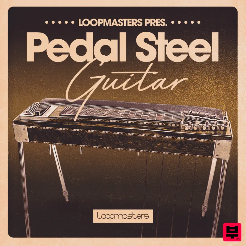 Loopmasters Pedal Steel Guitar - Professional Music Instrument Photo