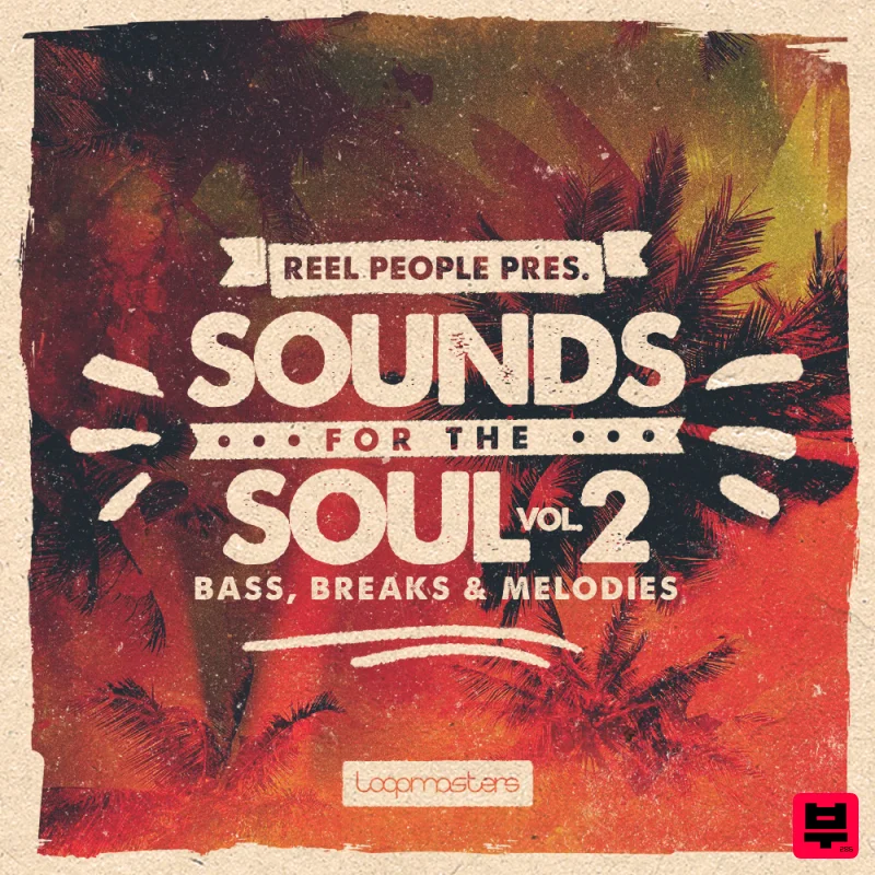 Loopmasters Reel People Presents Sounds For The Soul 2 - Professional Music Instrument Photo