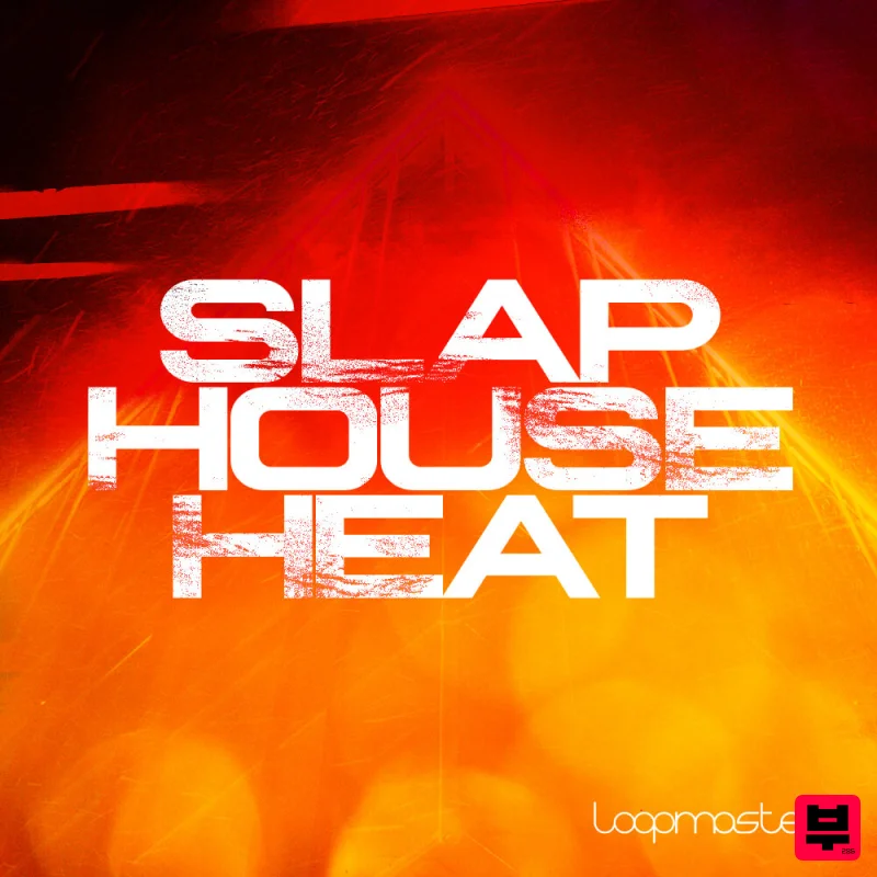 Loopmasters Slap House Heat - Professional Music Instrument Photo