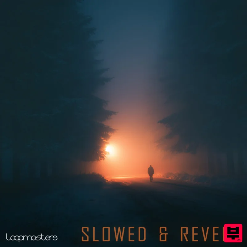 Loopmasters Slowed & Reverb - Ambient