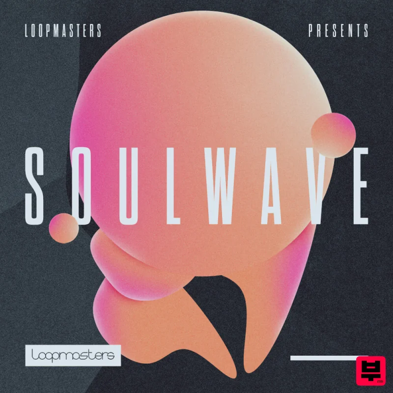 Loopmasters Soulwave - Professional Music Instrument Photo