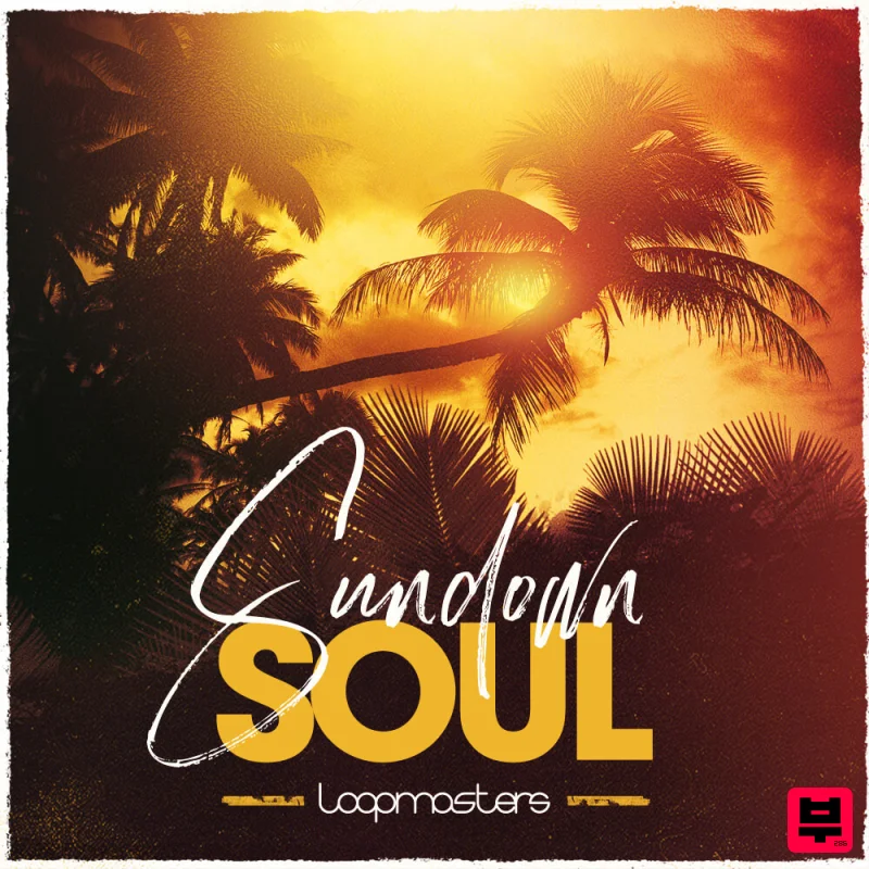 Loopmasters Sundown Soul - Professional Music Instrument Photo