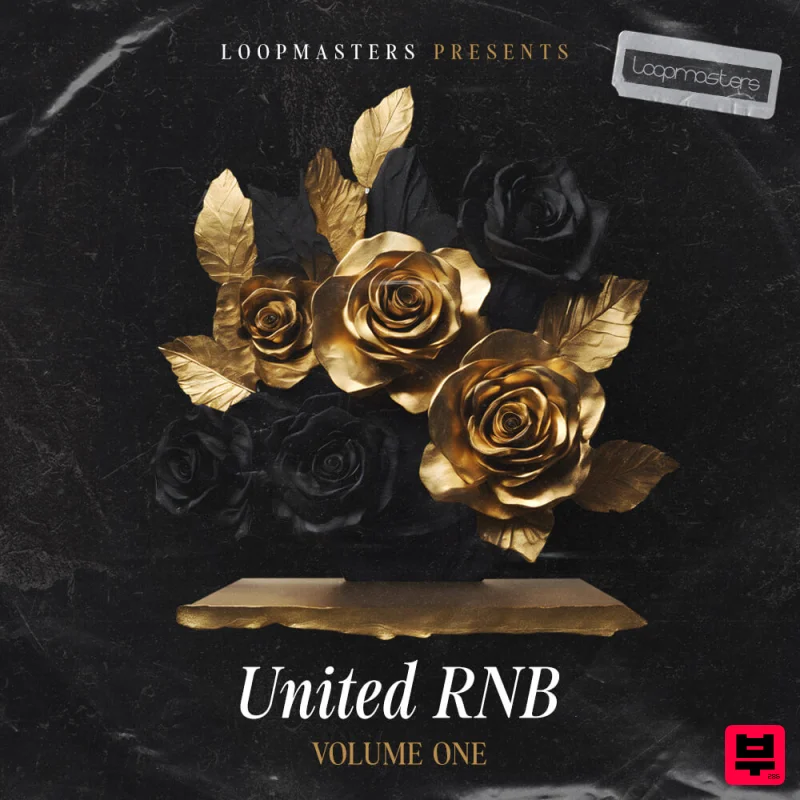 Loopmasters United RnB Vol 1 - Professional Music Instrument Photo
