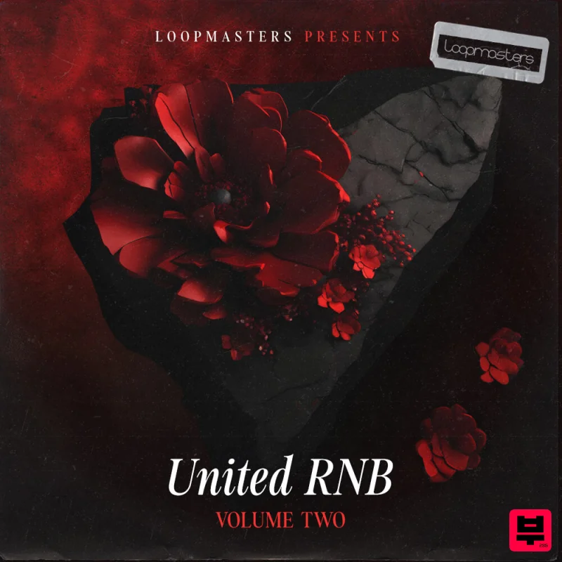 Loopmasters United RnB Vol 2 - Professional Music Instrument Photo