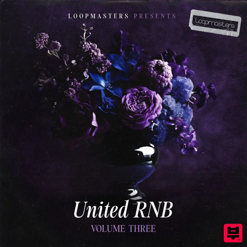 Loopmasters United RnB Vol 3 - Professional Music Instrument Photo