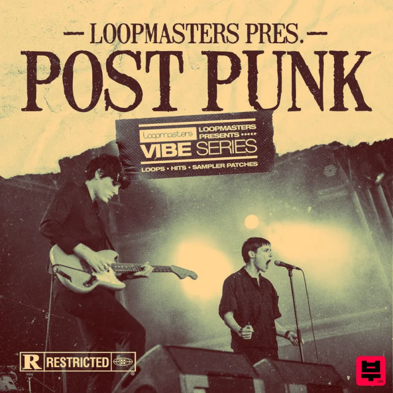 Loopmasters VIBES 13 - Post Punk - Professional Music Instrument Photo