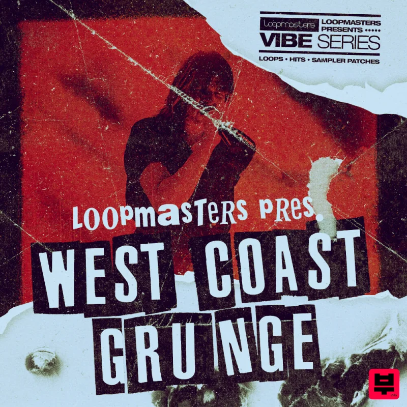 Loopmasters VIBES 9 - West Coast Grunge - Professional Music Instrument Photo