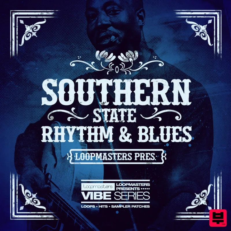 Loopmasters VIBES Volume 5 - Southern State Rhythm & Blues - Professional Music Instrument Photo