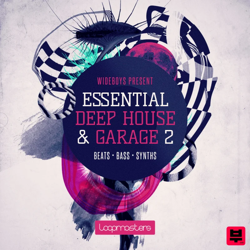 Loopmasters Wideboys Present Deep House & Garage Vol. 2 - Professional Music Instrument Photo