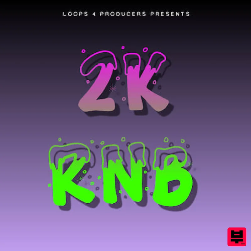 Loops 4 Producers 2k RnB - Professional Music Instrument Photo