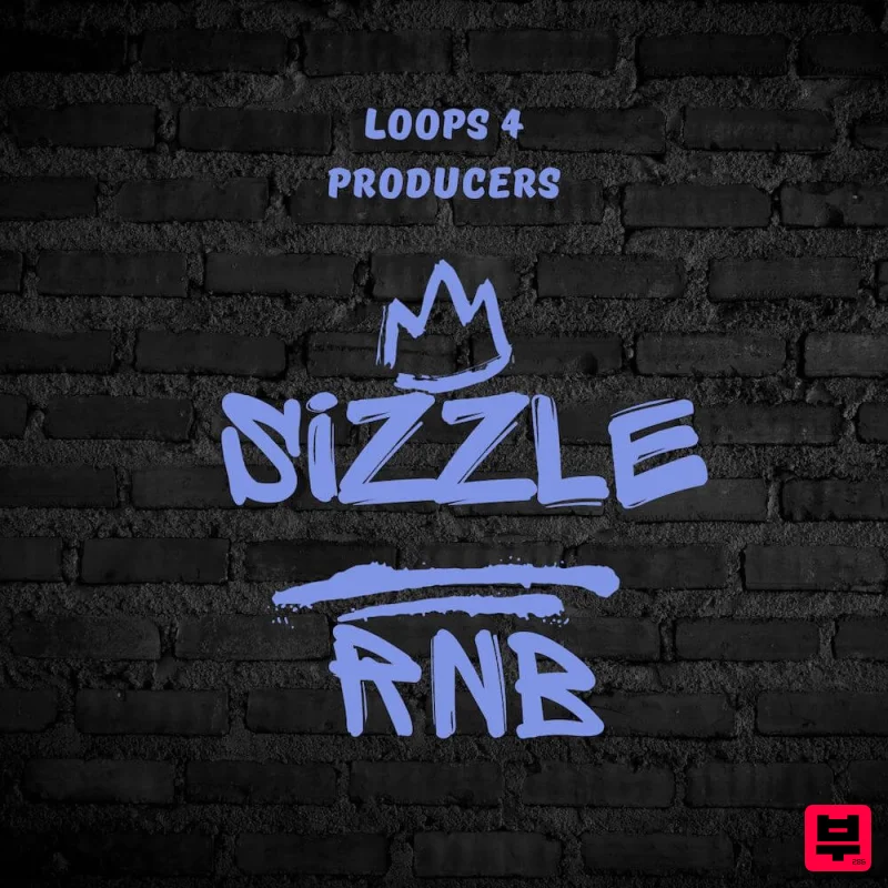 Loops 4 Producers Sizzle RnB - Professional Music Instrument Photo