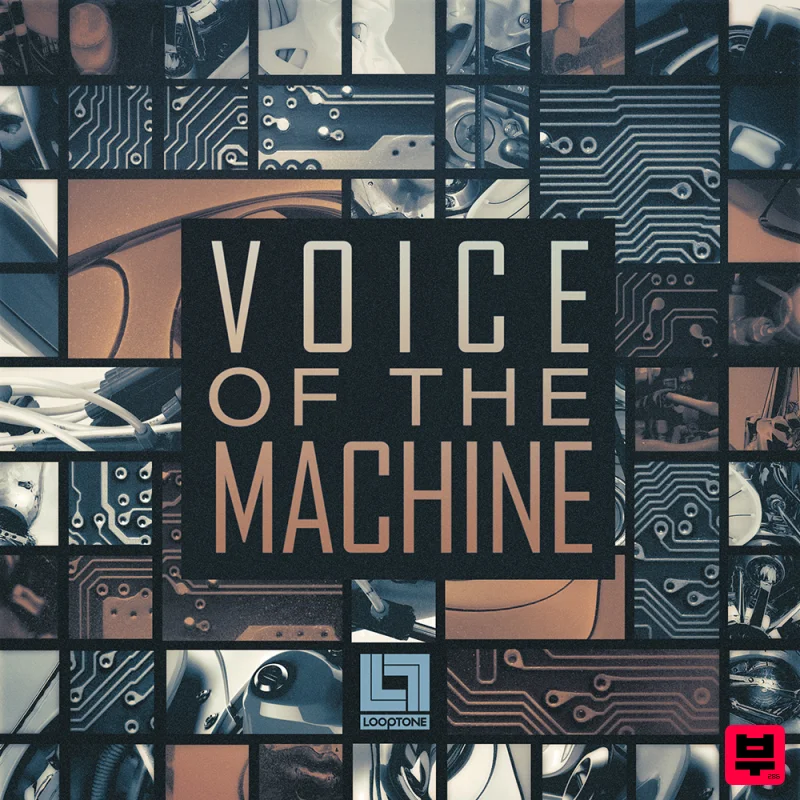 Looptone Voice of the Machine - EDM
