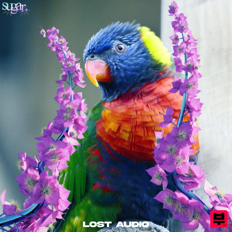 Lost Audio Sugar - Granular Sample Pack - Future Bass