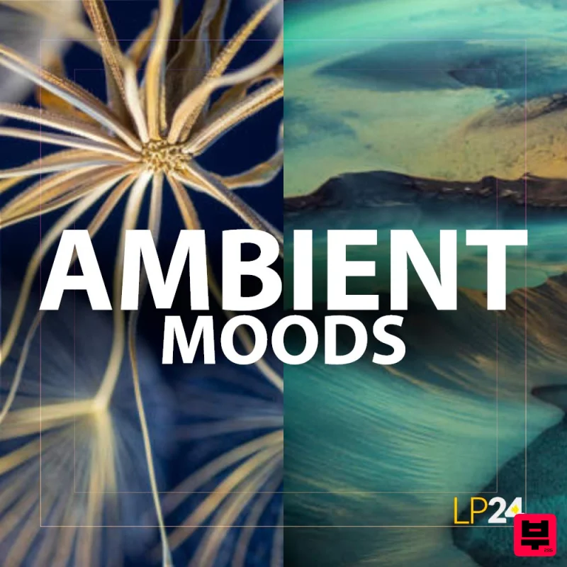 LP24 Audio Ambient Moods - Professional Music Instrument Photo