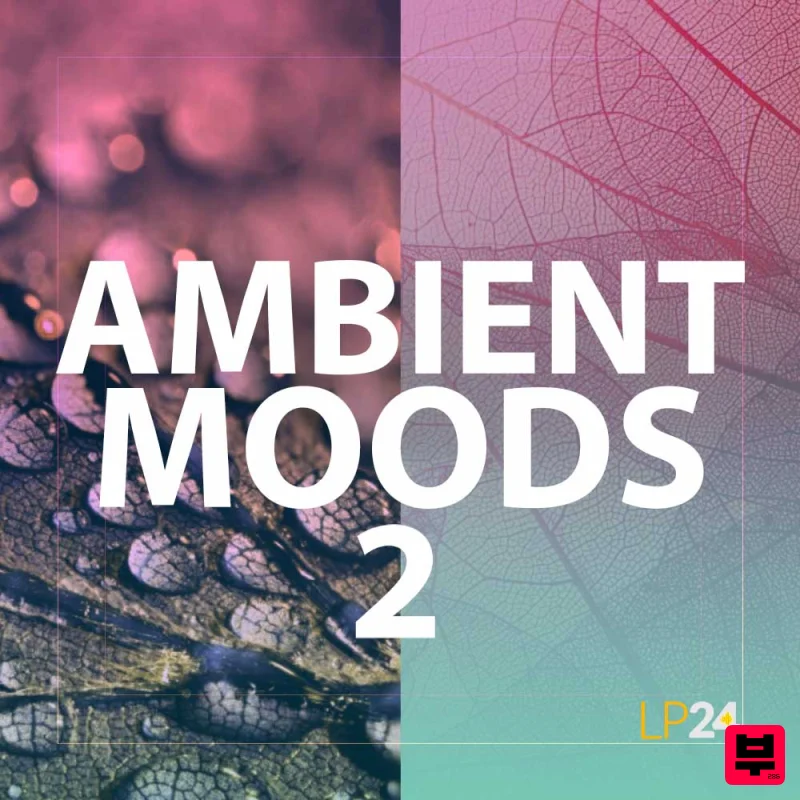 LP24 Audio Ambient Moods 2 - Professional Music Instrument Photo