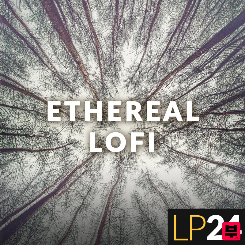 LP24 Audio Ethereal Lo-Fi - Professional Music Instrument Photo