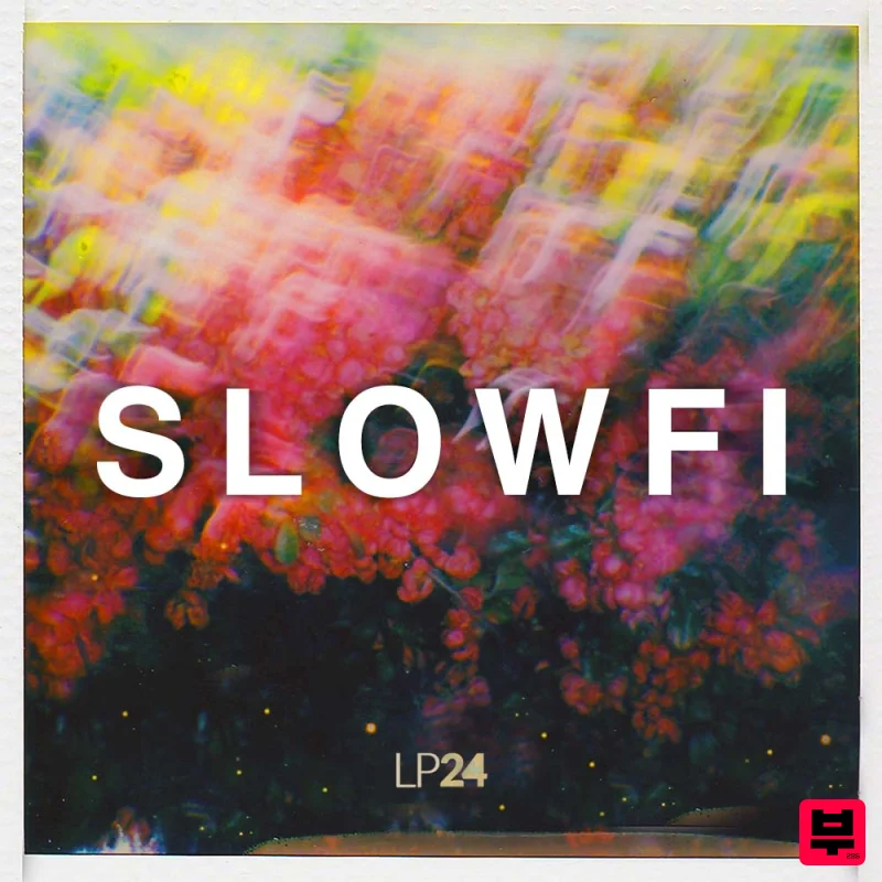 LP24 Audio Slowfi - Professional Music Instrument Photo