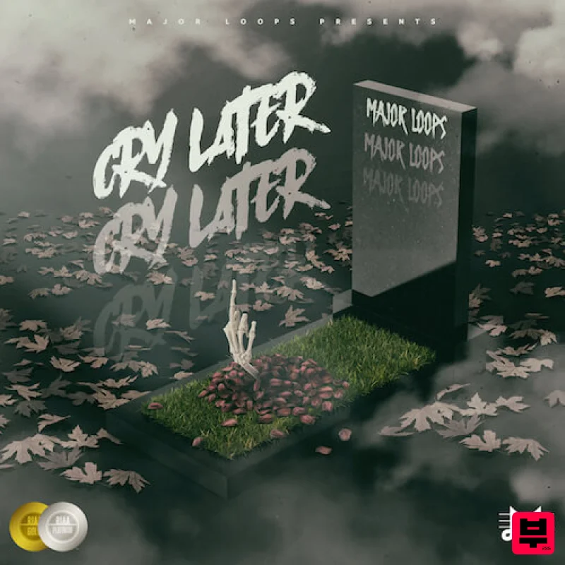 Major Loops Cry Later - Trap